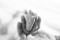 Father or mother holding foot of newborn baby Royalty Free Stock Photo