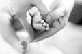 Father or mother holding foot of newborn baby Royalty Free Stock Photo