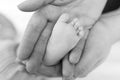 Father or mother holding foot of newborn baby Royalty Free Stock Photo