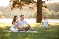 Father, mother and son in the park together on a sunny summer day. happy young family having fun outdoor Royalty Free Stock Photo