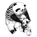 Father panda in black and white t-shirt is teaching cycling by b