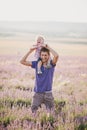 Father playing with his son in a lavender field Royalty Free Stock Photo