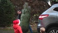 Father pulls a Christmas tree out of the trunk