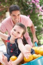 Father Pushing Daughter In Wheelbarrow