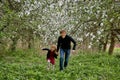 Father runs with his daughter on the background of a blooming garden and green grass. A happy family