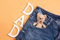 Father`s Day background with toy bears in a jeans pocket. Royalty Free Stock Photo