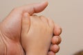 Father's and his son hand in hand. Family concept Royalty Free Stock Photo