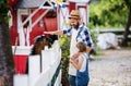 A father with small daughter outdoors on family farm, feeding animals. Royalty Free Stock Photo