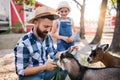 A father with small daughter outdoors on family farm, feeding animals. Royalty Free Stock Photo