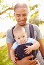 Father With Son In Baby Carrier Walking Through Park Royalty Free Stock Photo