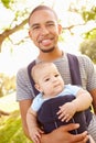 Father With Son In Baby Carrier Walking Through Park Royalty Free Stock Photo