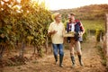 Father and son celebrating harvesting grapes Royalty Free Stock Photo