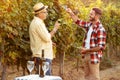 Father and son checking grapes before harvest Royalty Free Stock Photo