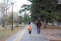 father and son child walk along the alley in the Park with lanterns in autumn family