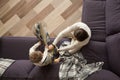 Father and son enjoying pillow fight on sofa, top view Royalty Free Stock Photo