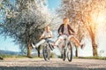 Father and son have a fun when riding bicycles on country road with blossom trees Royalty Free Stock Photo