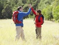 Father And Son On Hike In Beautiful Countryside Giving High Five Royalty Free Stock Photo