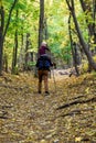 Father with son on his shoulders walking in the autumn forest. Back view Royalty Free Stock Photo