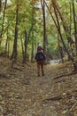 Father with son on his shoulders walking in the autumn forest. Back view Royalty Free Stock Photo