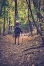 Father with son on his shoulders walking in the autumn forest. Back view Royalty Free Stock Photo