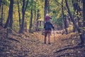 Father with son on his shoulders walking in the autumn forest. Back view Royalty Free Stock Photo