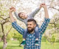 Father and son Royalty Free Stock Photo