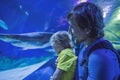 Father and son looking at fish in a tunnel aquarium Royalty Free Stock Photo