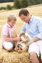 Father And Son Sitting With Dog On Straw Bales In Royalty Free Stock Photo