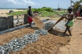 Men sorting dried sardine fish in Sri Lanka. Royalty Free Stock Photo