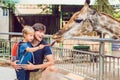 Father and son watching and feeding giraffe in zoo. Happy kid having fun with animals safari park on warm summer day