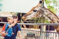 Father and son watching and feeding giraffe in zoo. Happy kid having fun with animals safari park on warm summer day