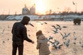 Father and son in the winter feeding of birds Royalty Free Stock Photo