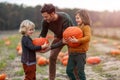 Father and sons in pumpkin patch field Royalty Free Stock Photo