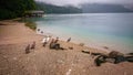 A father swan leads his young swan chicks to a mountain lake to swim in the turquoise water Royalty Free Stock Photo