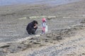 A father and toddler girl gathering shells on a beach Royalty Free Stock Photo