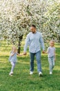 father and two daughters walk through the park in spring in a blooming garden, holding hands Royalty Free Stock Photo