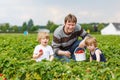 Father and two little boys on organic strawberry farm Royalty Free Stock Photo