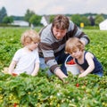 Father and two little boys on organic strawberry farm Royalty Free Stock Photo