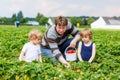 Father and two little kid boys on strawberry farm in summer Royalty Free Stock Photo