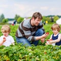 Father and two little kid boys on strawberry farm in summer Royalty Free Stock Photo