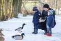Father and two little siblings boys feeding ducks in winter. Royalty Free Stock Photo