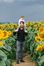 Father with a young son on his shoulders walking and having fun in a field of sunflowers Royalty Free Stock Photo