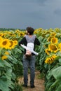 Father with a young son on his shoulders walking and having fun in a field of sunflowers Royalty Free Stock Photo