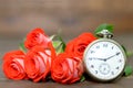 Fathers Day card: Bouquet of red roses and pocket watch Royalty Free Stock Photo