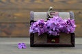 Fathers Day flowers in the wooden chest Royalty Free Stock Photo