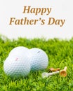 Fathers Day Golf Balls Royalty Free Stock Photo