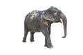 Fatigue elephant Royalty Free Stock Photo