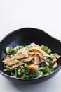 Fatoush fattoush traditional classic lebanese middle eastern sal Royalty Free Stock Photo