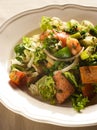 Fattoush Royalty Free Stock Photo