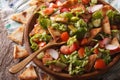 fattoush salad with pita bread and vegetables close up. horizontal Royalty Free Stock Photo